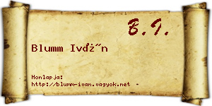 Blumm Iván névjegykártya